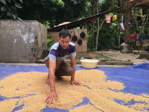  Anh Lò Văn Trịnh- Bí thư Chi bộ, Trưởng bản Nậm Ty (xã Nậm Hàng) luôn đi đầu trong phát triển kinh tế của bản.
